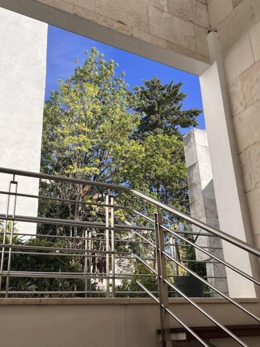 Condesa Amsterdam 301 Beautiful 1bed 1 Bath On Amsterdam Av Apartment